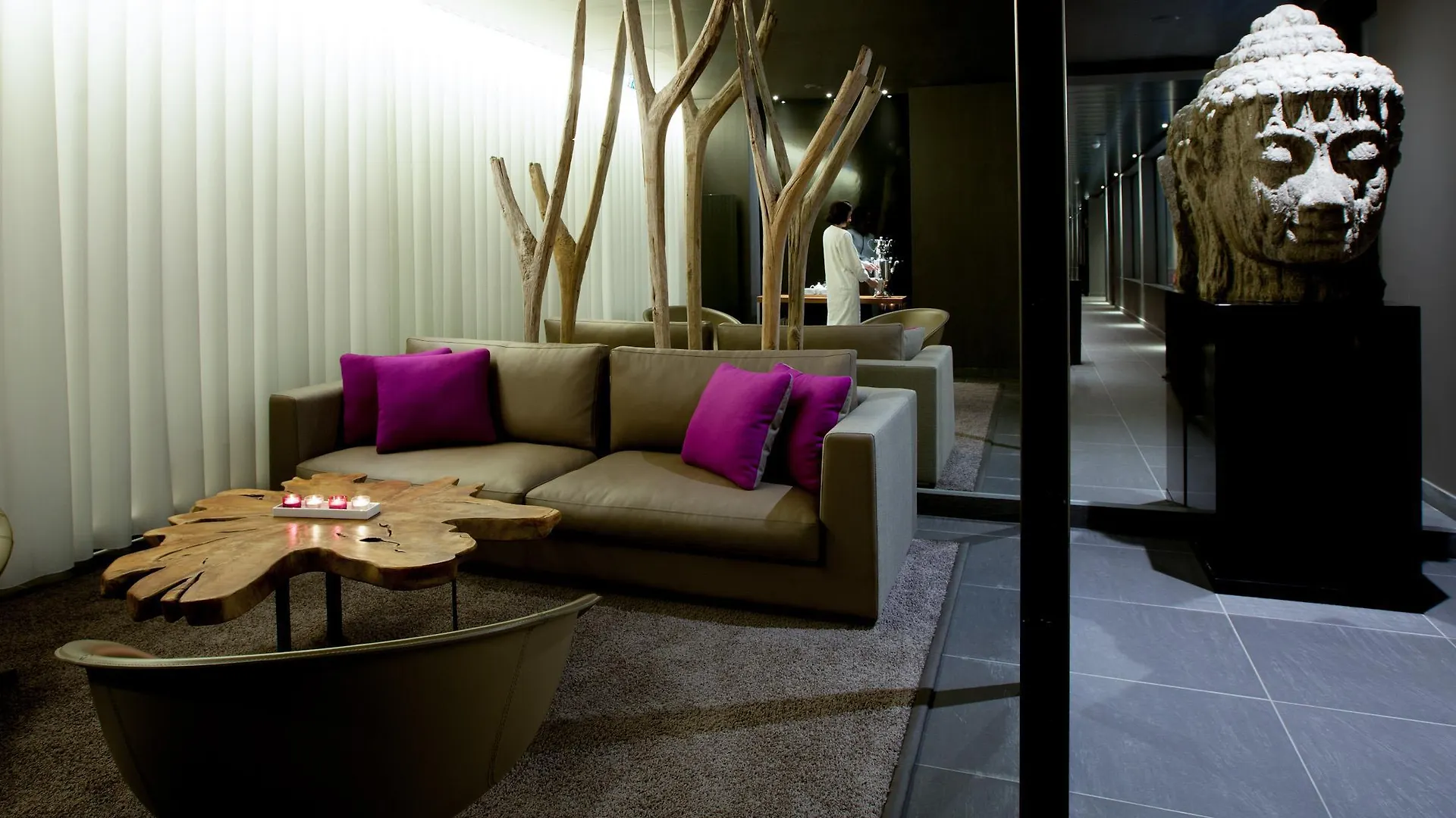 Best Western Plus Hotel & Spa De Chassieu Fransa